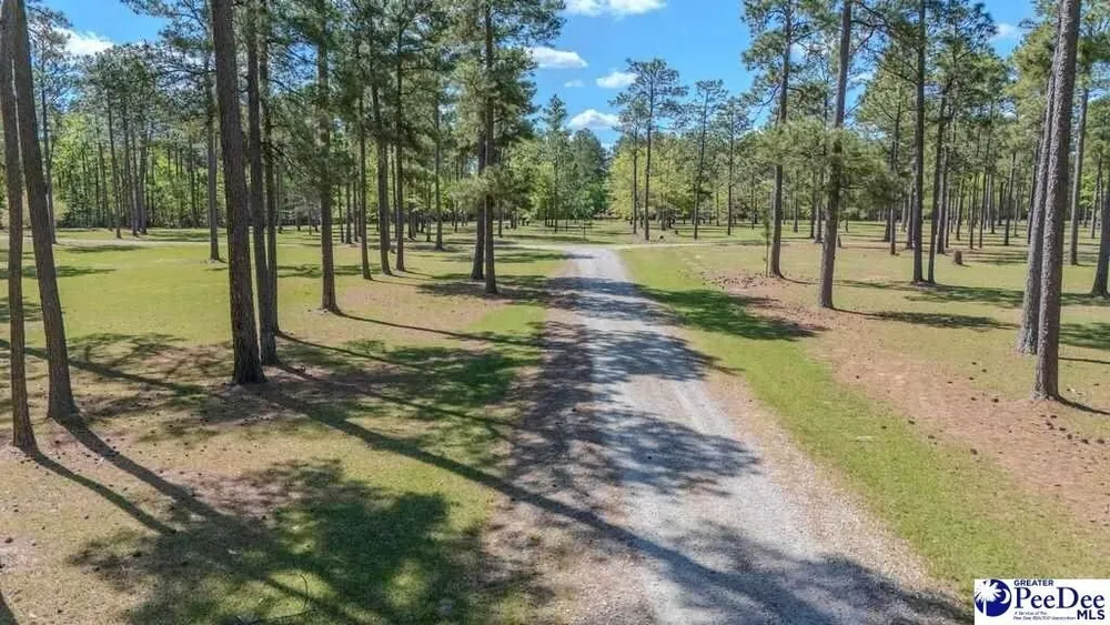 1315 Hill Harrell Rd, Effingham, SC 29541