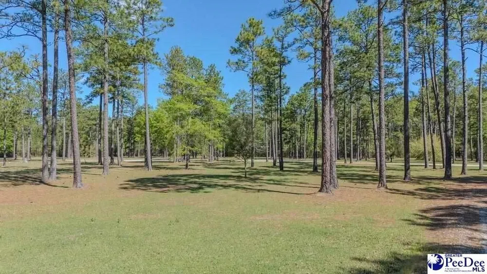 1315 Hill Harrell Rd, Effingham, SC 29541