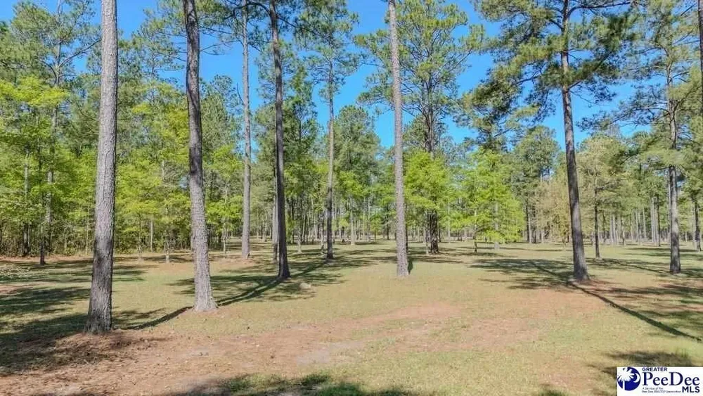 1315 Hill Harrell Rd, Effingham, SC 29541