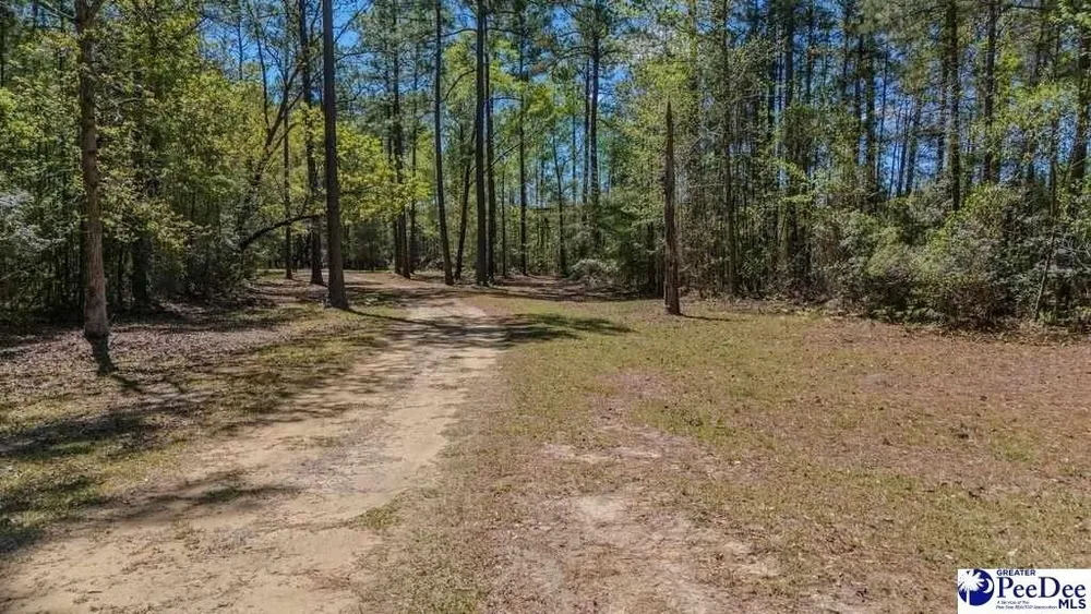 1315 Hill Harrell Rd, Effingham, SC 29541