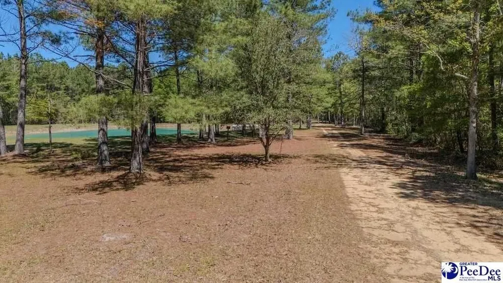 1315 Hill Harrell Rd, Effingham, SC 29541