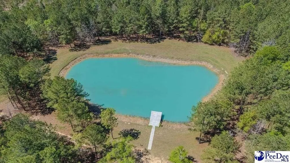 1315 Hill Harrell Rd, Effingham, SC 29541