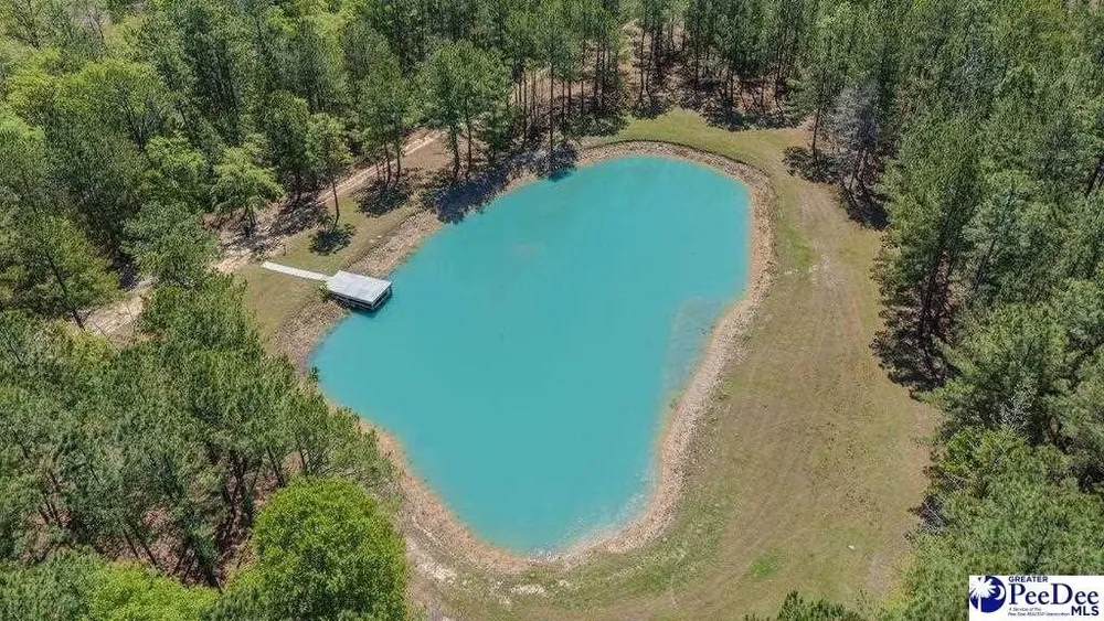 1315 Hill Harrell Rd, Effingham, SC 29541