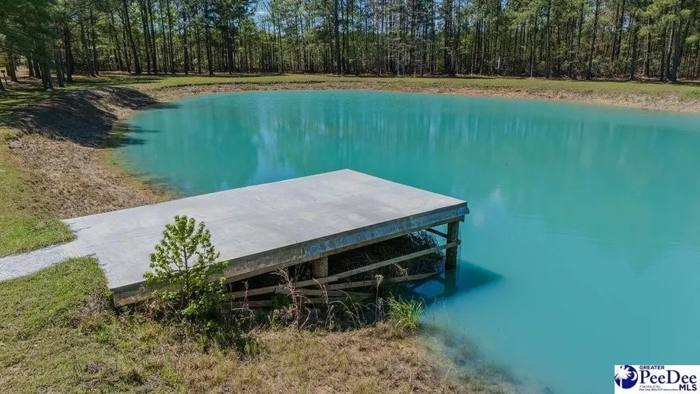 1315 Hill Harrell Rd, Effingham, SC 29541