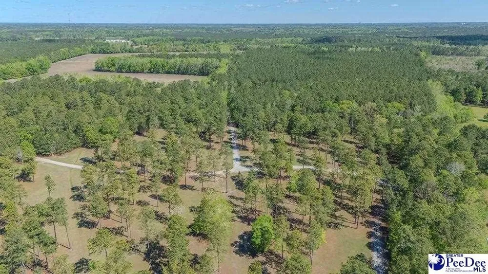 1315 Hill Harrell Rd, Effingham, SC 29541