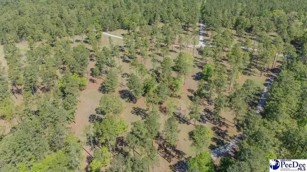1315 Hill Harrell Rd, Effingham, SC 29541