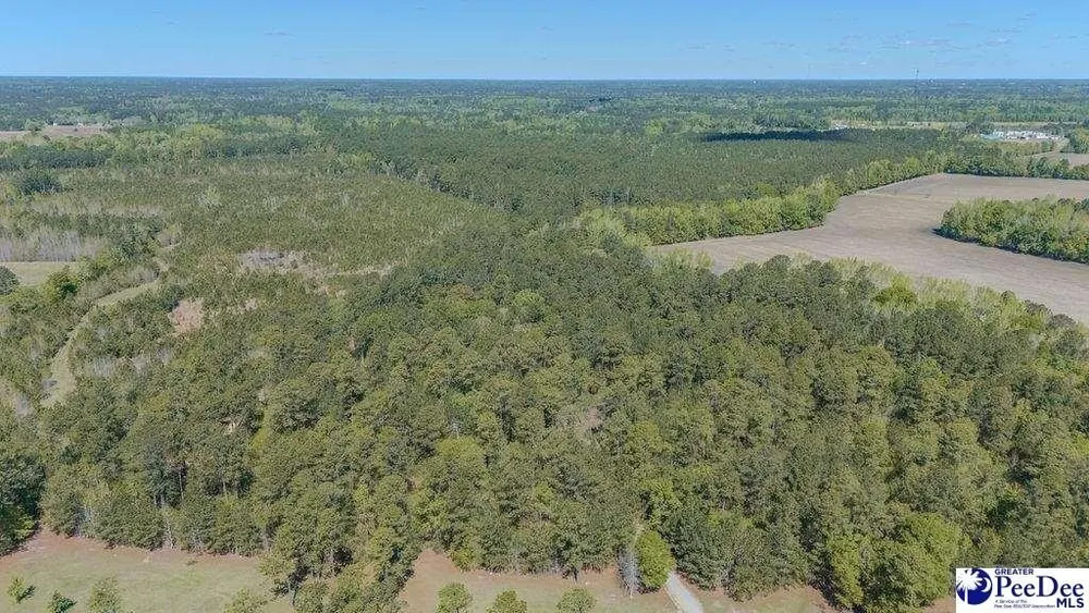 1315 Hill Harrell Rd, Effingham, SC 29541