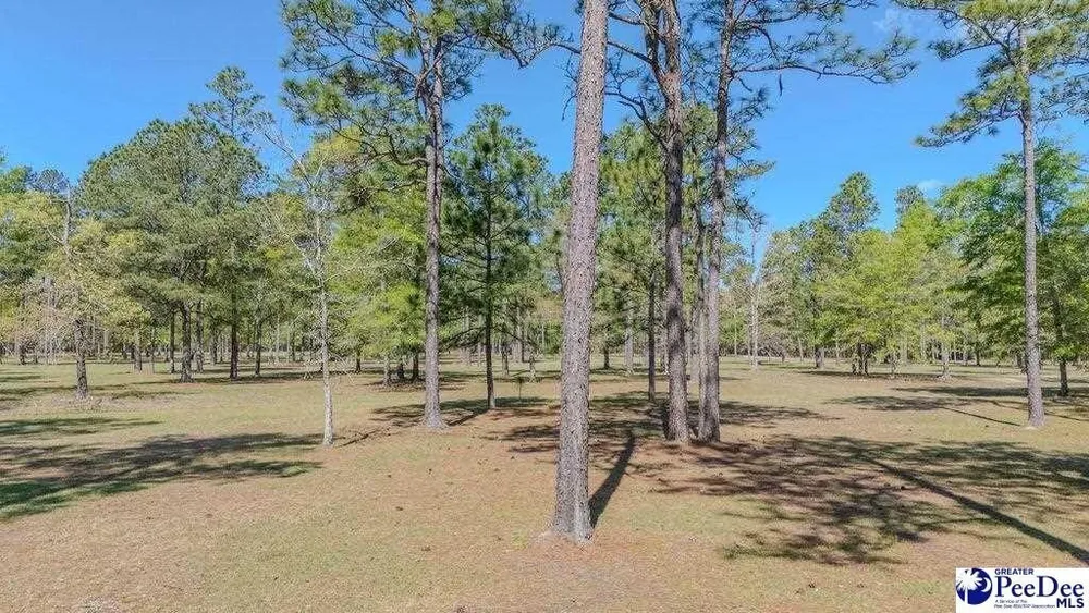 1315 Hill Harrell Rd, Effingham, SC 29541