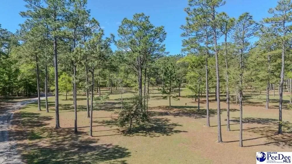 1315 Hill Harrell Rd, Effingham, SC 29541