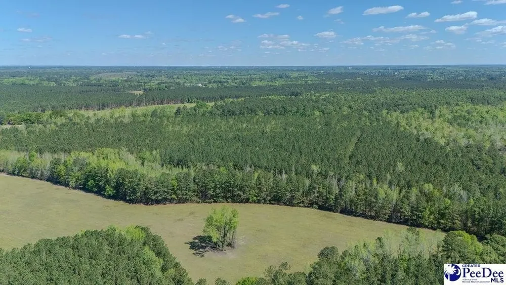 1315 Hill Harrell Rd, Effingham, SC 29541