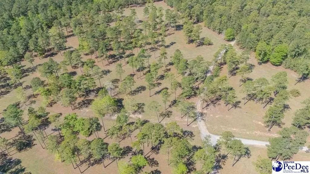1315 Hill Harrell Rd, Effingham, SC 29541