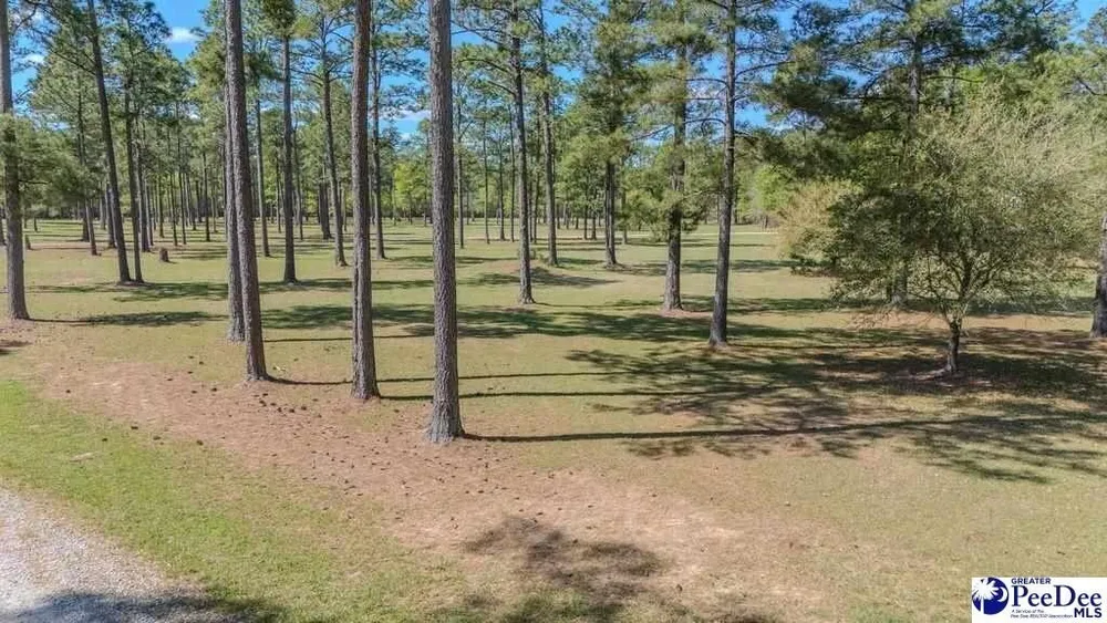 1315 Hill Harrell Rd, Effingham, SC 29541
