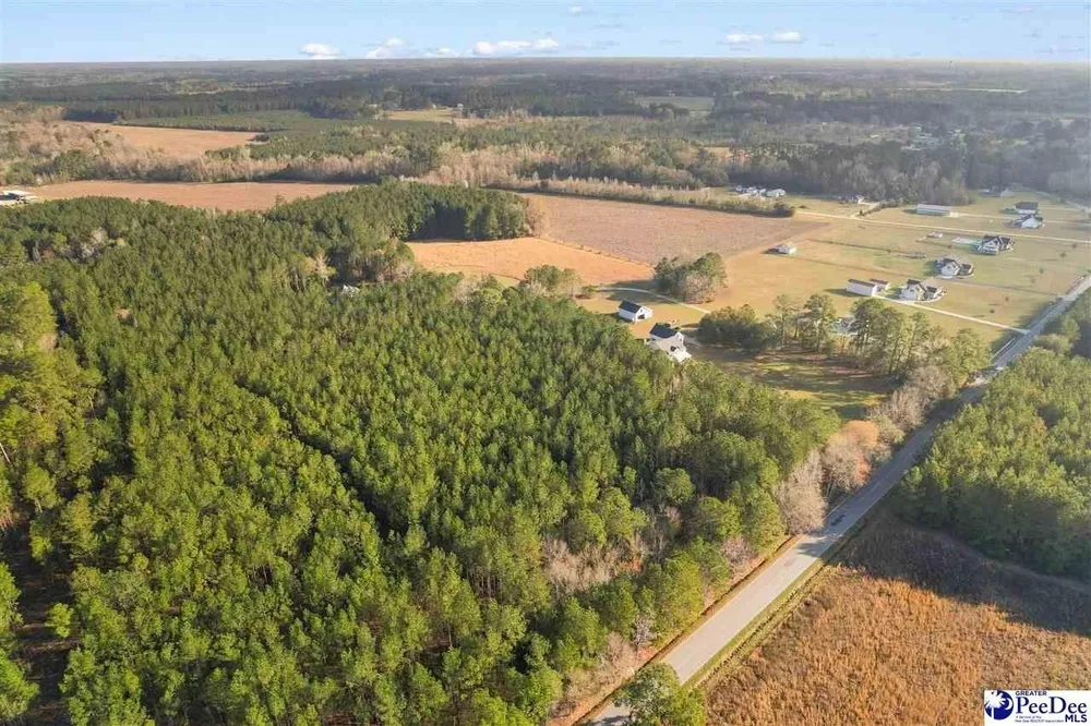 1185 McLaughlin Rd, Effingham, SC 29541-3111
