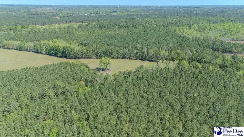 1315 Hill Harrell Rd, Effingham, SC 29541
