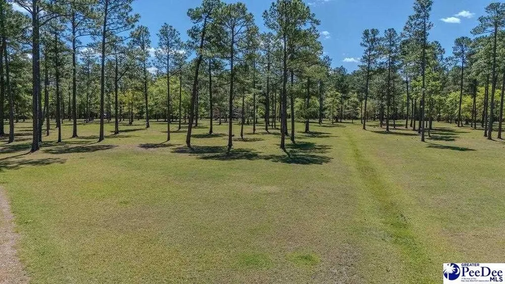 1315 Hill Harrell Rd, Effingham, SC 29541
