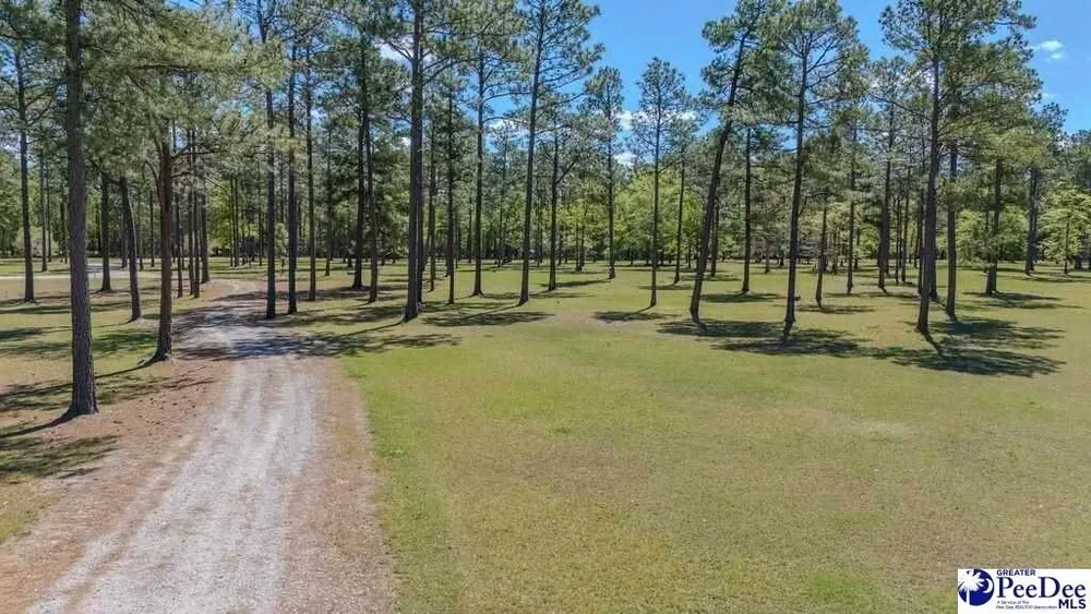 1315 Hill Harrell Rd, Effingham, SC 29541