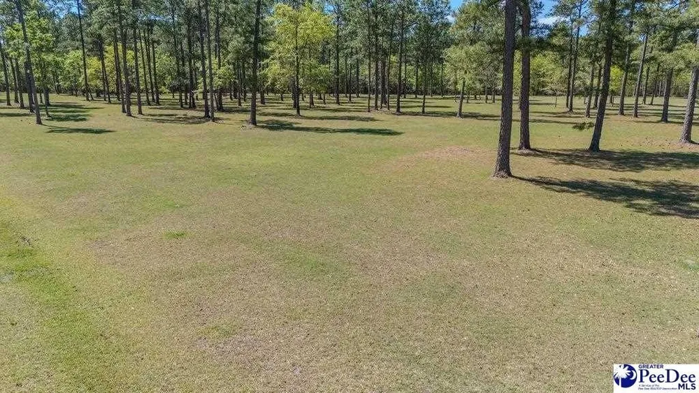 1315 Hill Harrell Rd, Effingham, SC 29541
