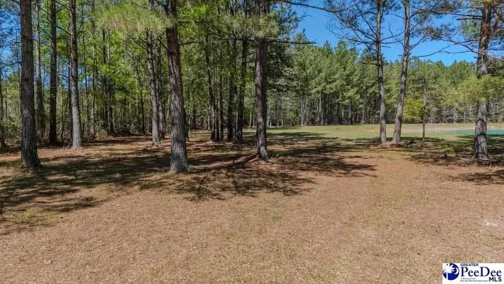 1315 Hill Harrell Rd, Effingham, SC 29541