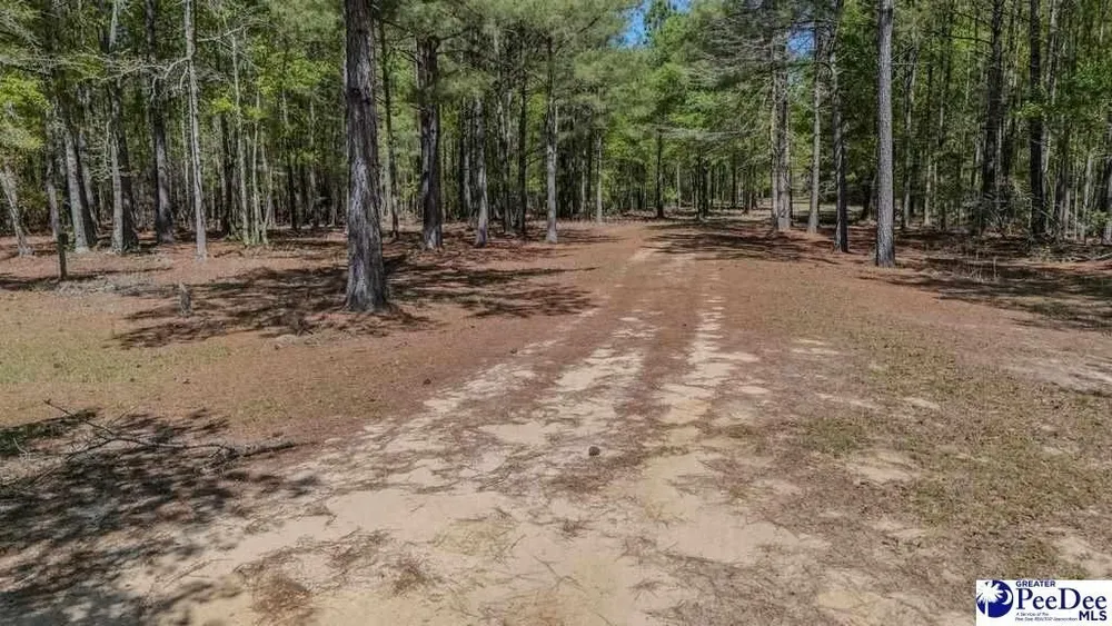 1315 Hill Harrell Rd, Effingham, SC 29541