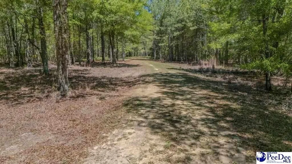 1315 Hill Harrell Rd, Effingham, SC 29541