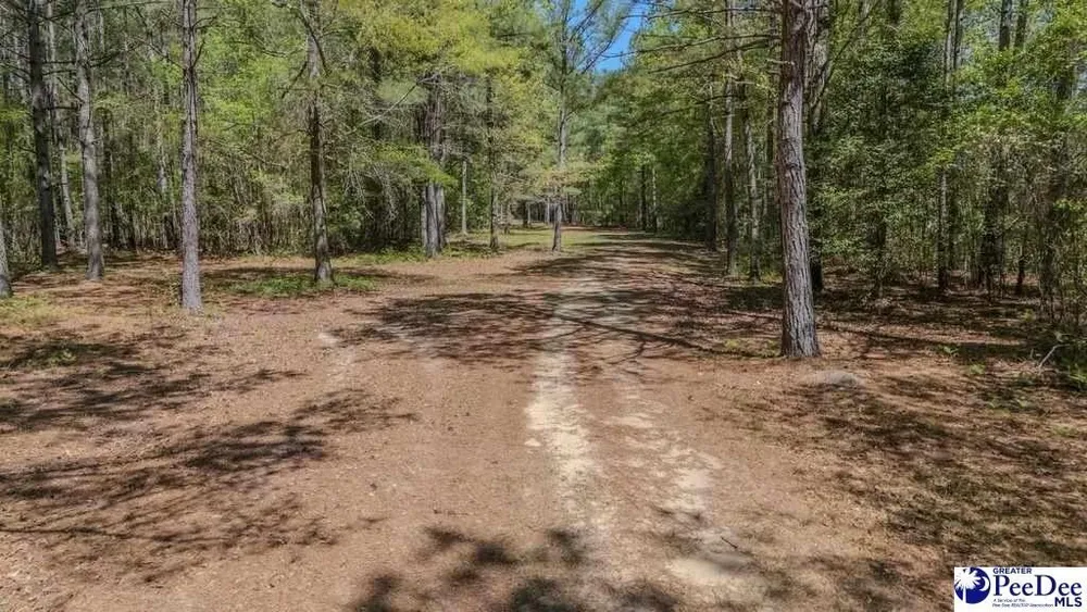 1315 Hill Harrell Rd, Effingham, SC 29541