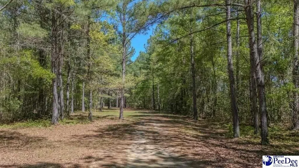 1315 Hill Harrell Rd, Effingham, SC 29541