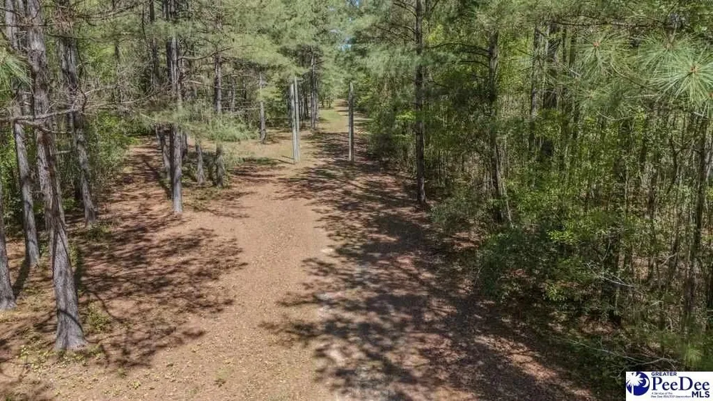 1315 Hill Harrell Rd, Effingham, SC 29541