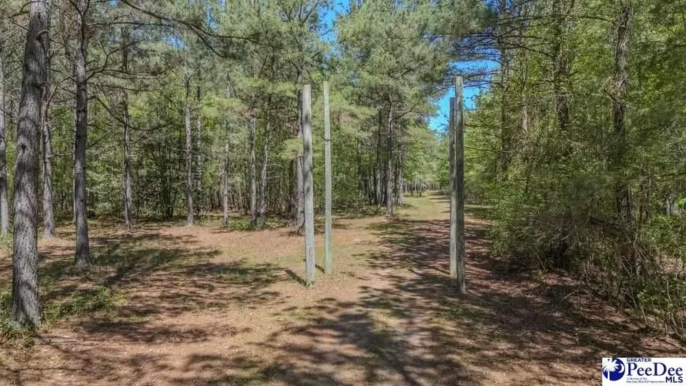 1315 Hill Harrell Rd, Effingham, SC 29541