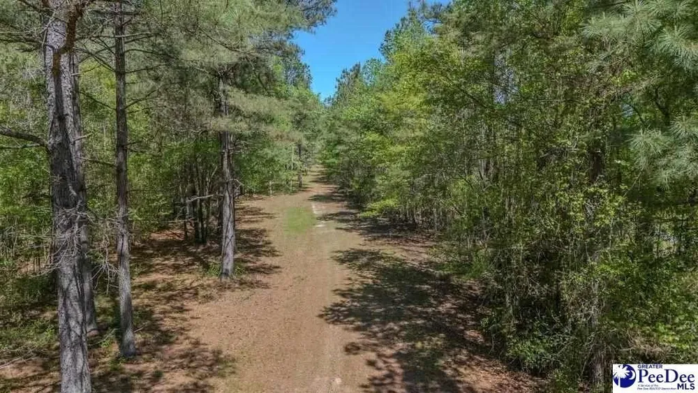 1315 Hill Harrell Rd, Effingham, SC 29541