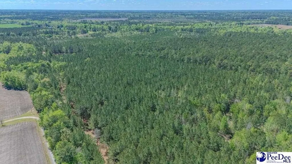 1315 Hill Harrell Rd, Effingham, SC 29541