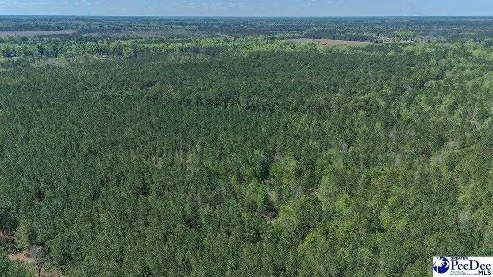 1315 Hill Harrell Rd, Effingham, SC 29541