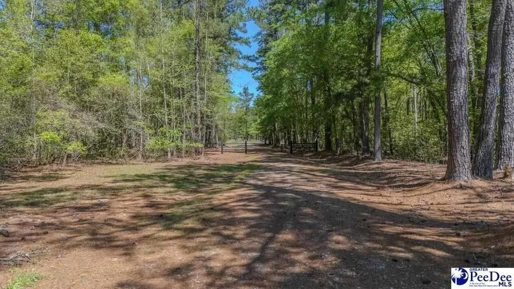 1315 Hill Harrell Rd, Effingham, SC 29541