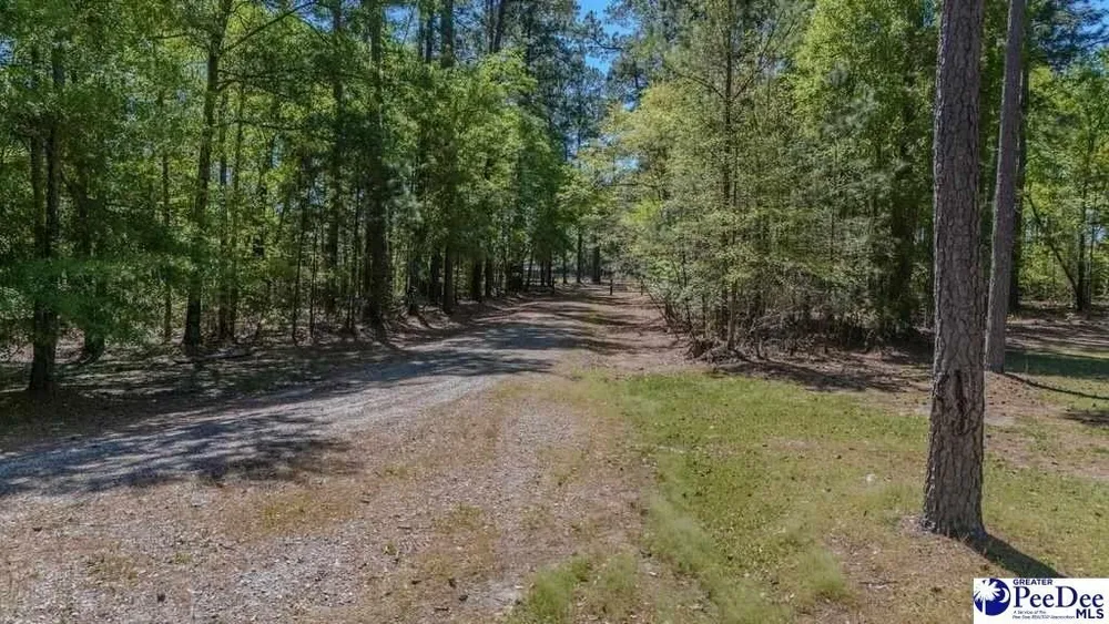 1315 Hill Harrell Rd, Effingham, SC 29541