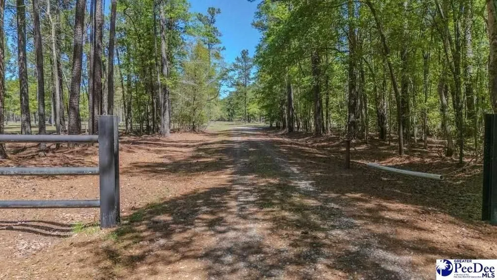 1315 Hill Harrell Rd, Effingham, SC 29541