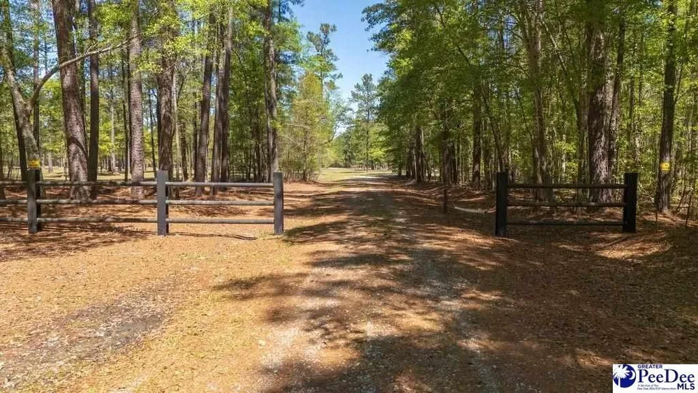 1315 Hill Harrell Rd, Effingham, SC 29541
