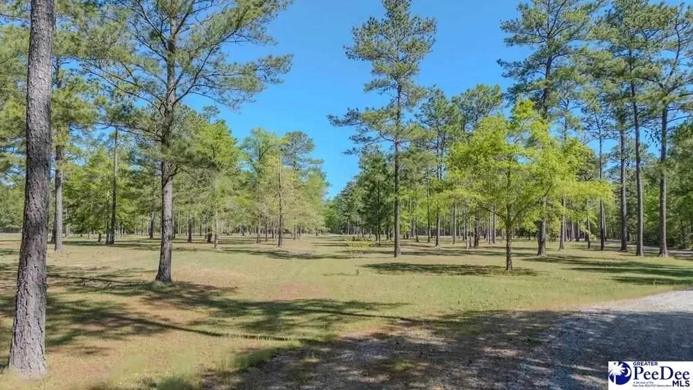 1315 Hill Harrell Rd, Effingham, SC 29541