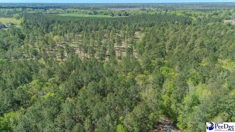 1315 Hill Harrell Rd, Effingham, SC 29541