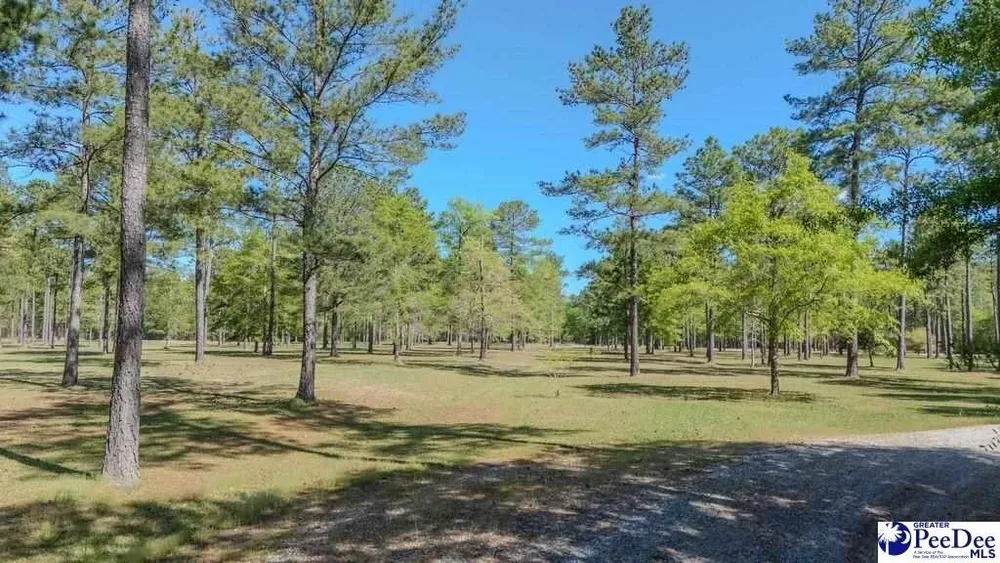 1315 Hill Harrell Rd, Effingham, SC 29541