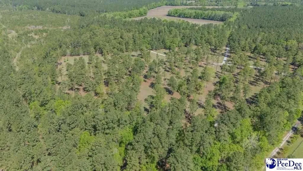 1315 Hill Harrell Rd, Effingham, SC 29541