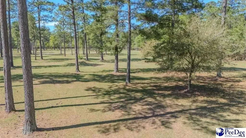 1315 Hill Harrell Rd, Effingham, SC 29541