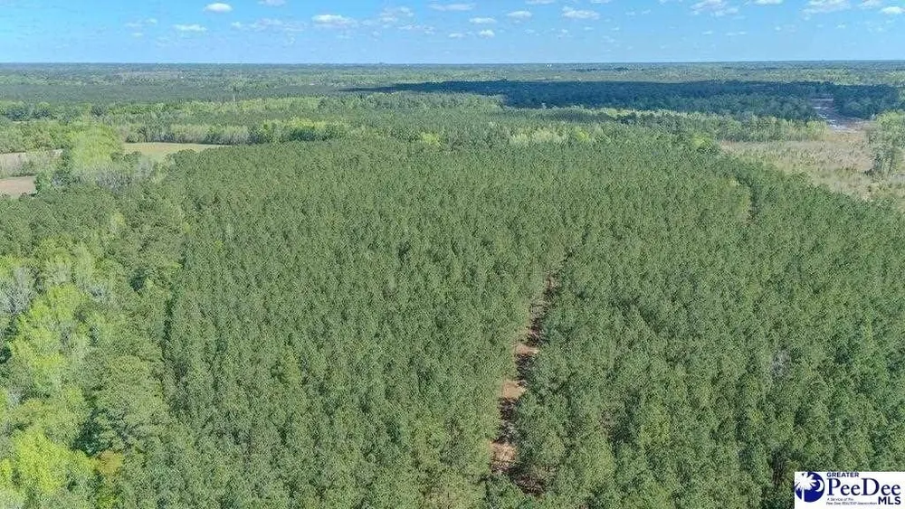 1315 Hill Harrell Rd, Effingham, SC 29541