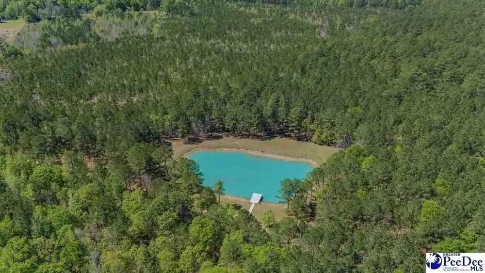 1315 Hill Harrell Rd, Effingham, SC 29541