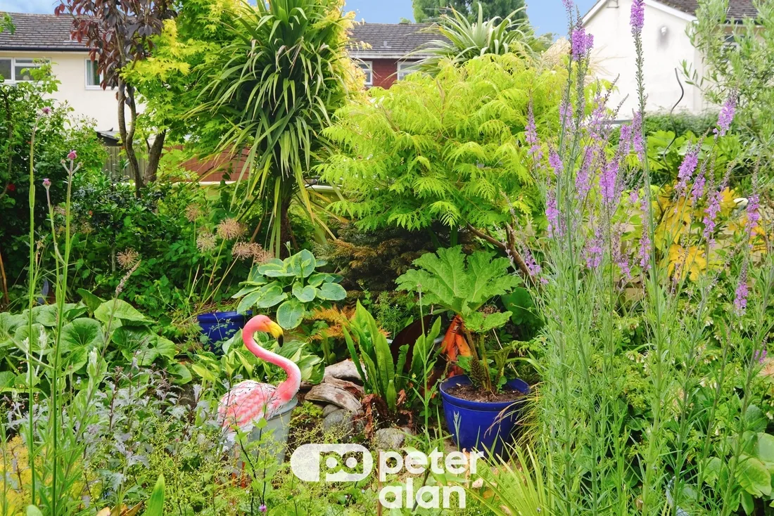 Property photo 26