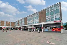 Bush Fair, HARLOW