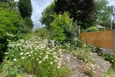 Baxter Avenue, KIDDERMINSTER