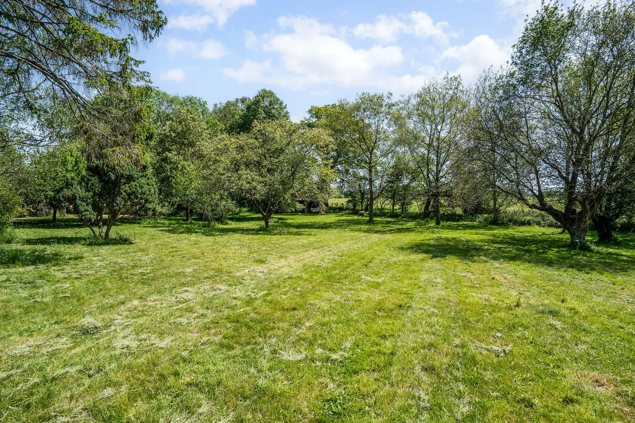 barkham road, Wokingham, RG41 photo 22