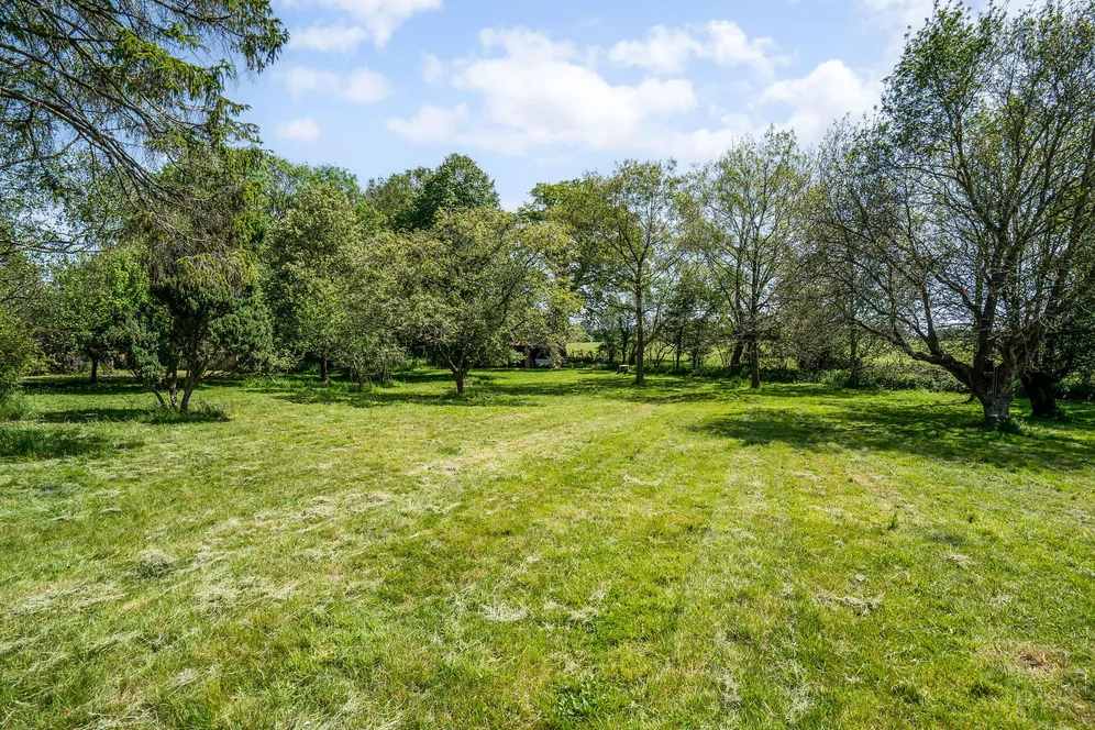 barkham road, Wokingham, RG41 photo 22