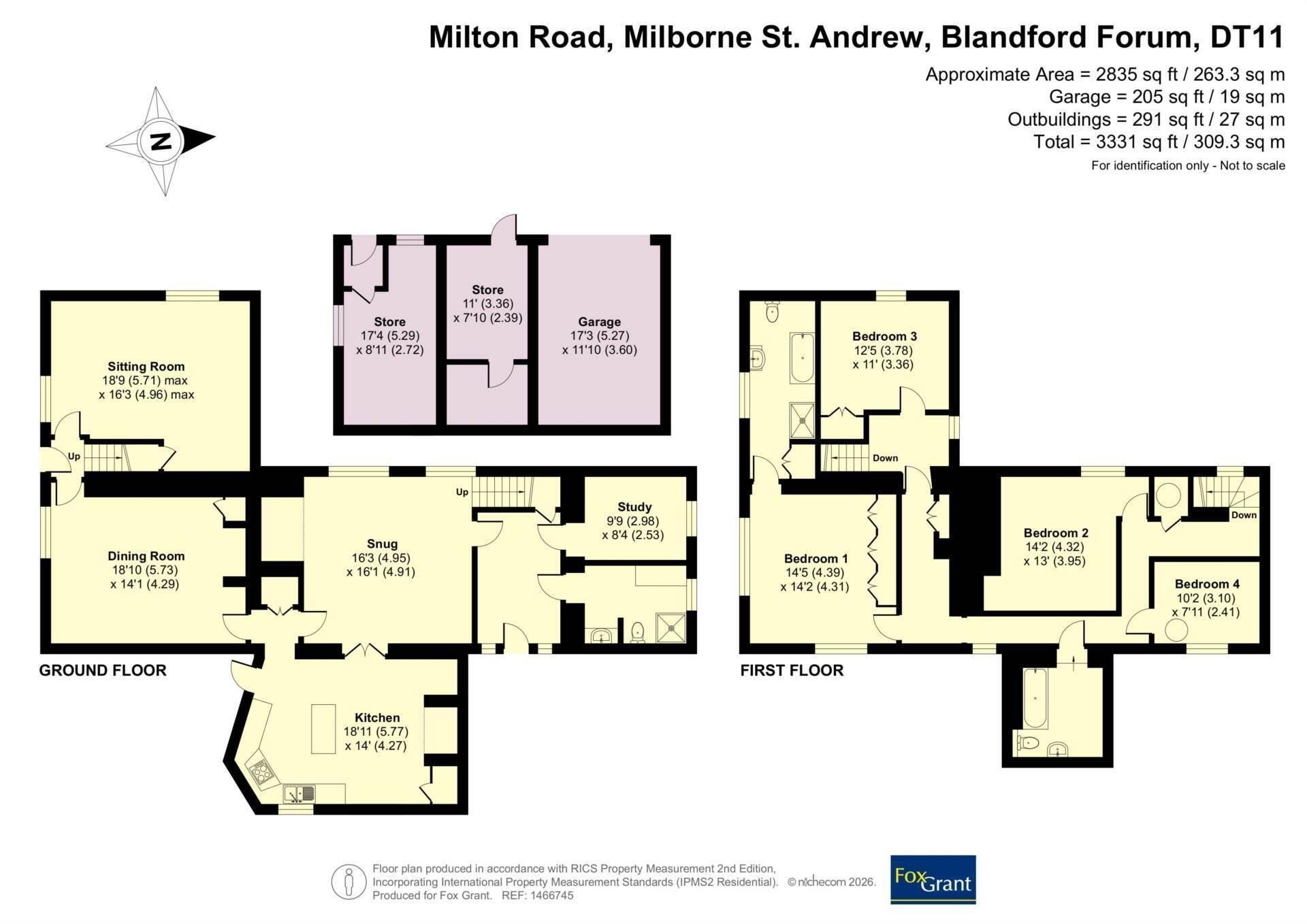 Milborne St Andrew, Dorset Image 22