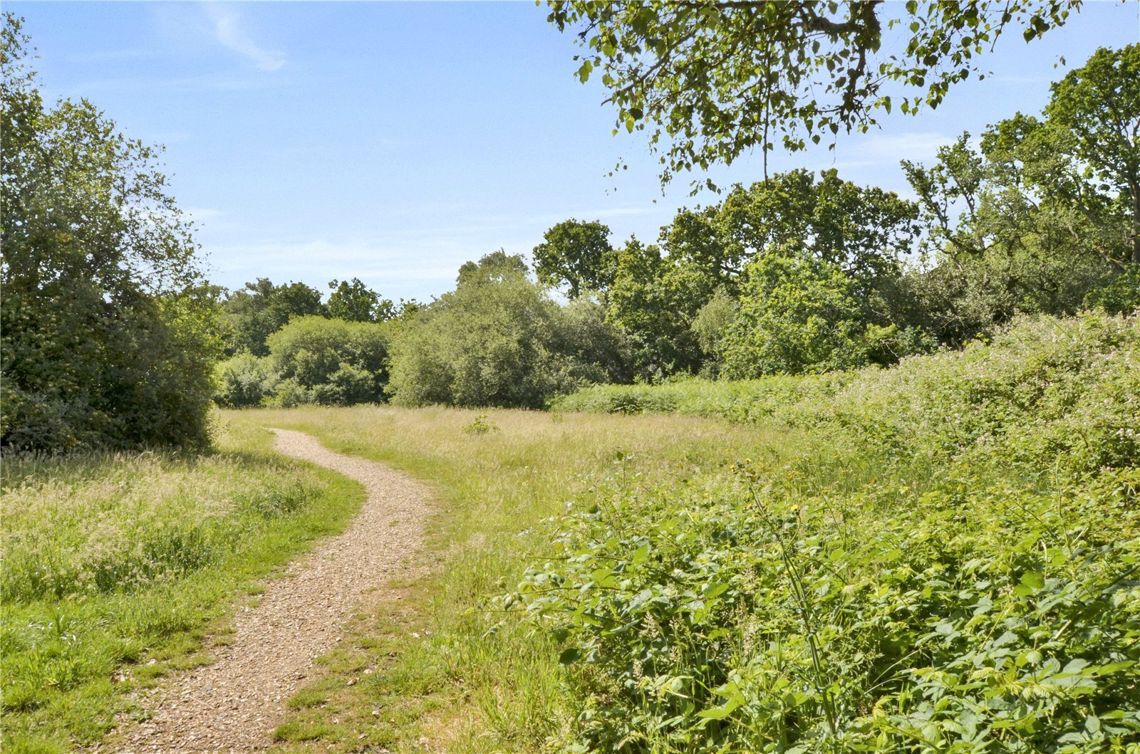 Woolslope Road, West Moors, Ferndown, Dorset, BH22 Image 18