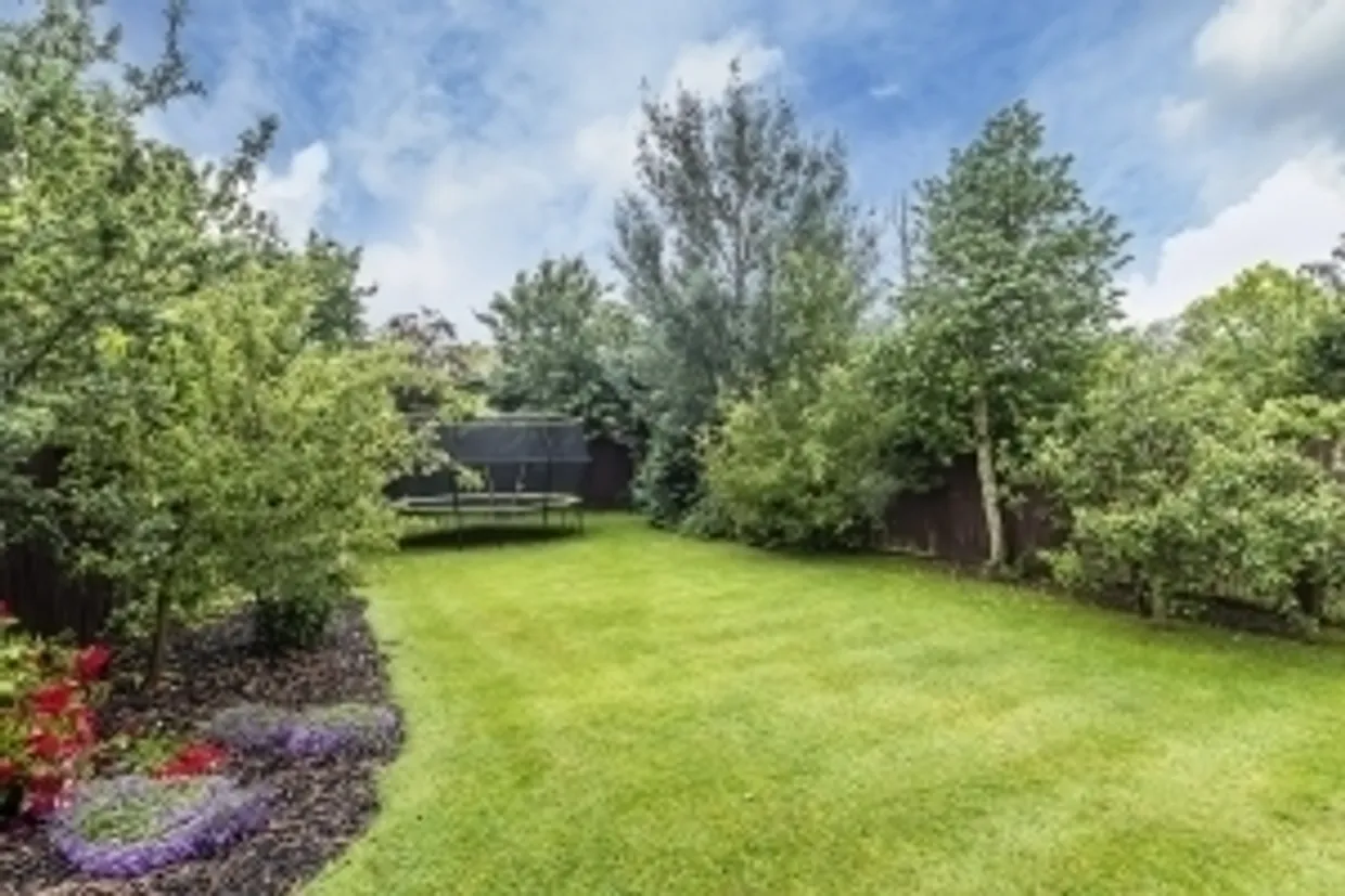 Holland Avenue London SW20 photo 8
